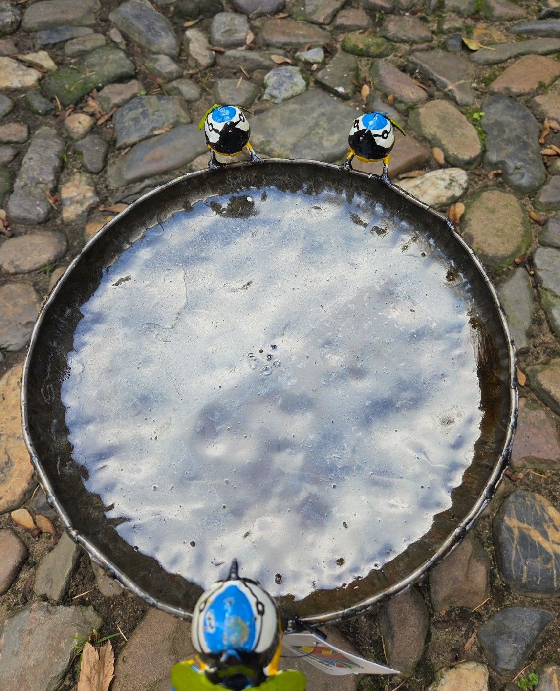 VOGELSCHAAL MEESJES OP STEKER - HAND MADE - STREET ART