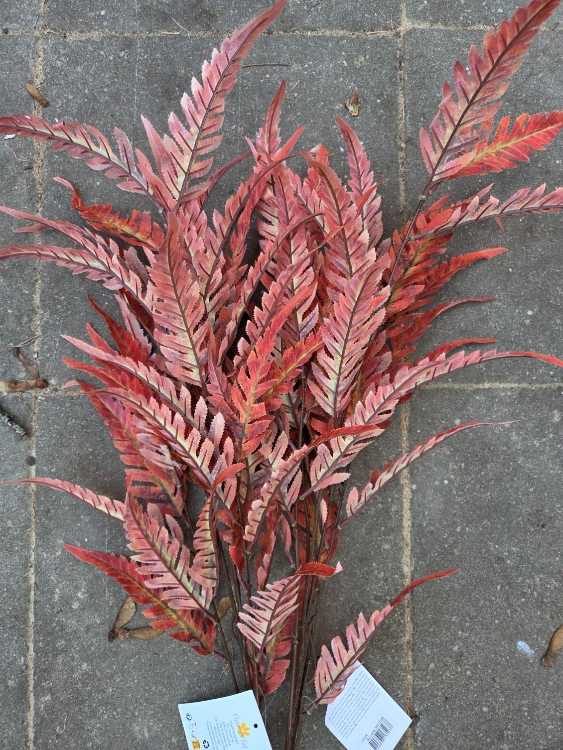 CLAYRE & EEF - BONTE KUNST VAREN