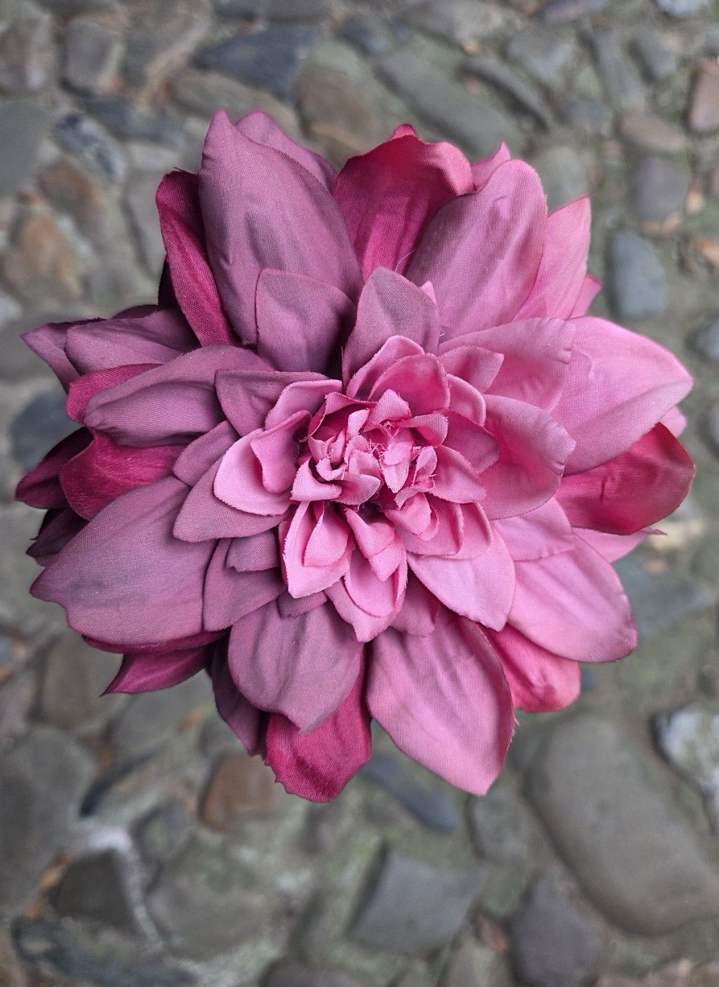 DAHLIA - KUNST - OUDROZE -ROZE