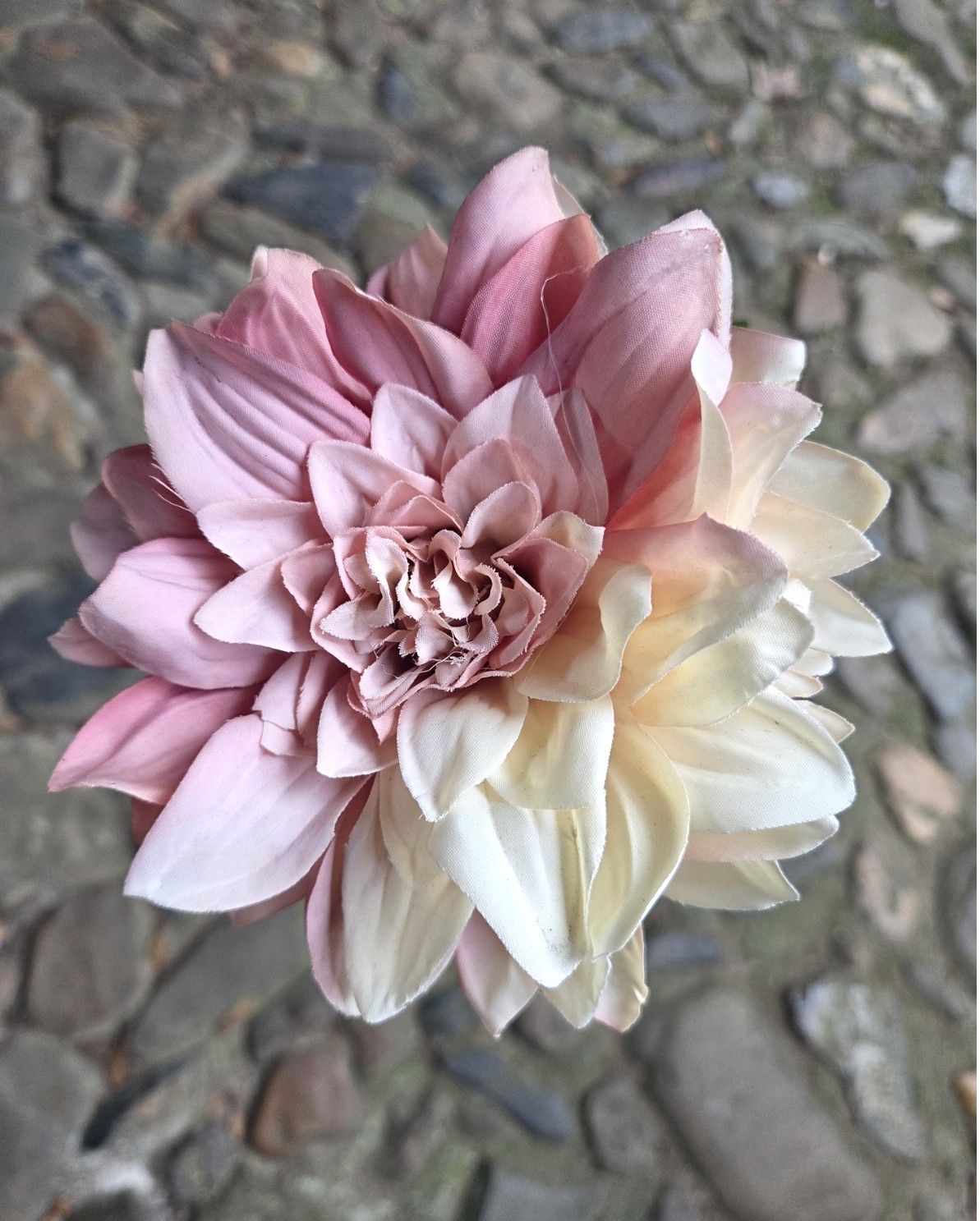 DAHLIA - KUNST - ROZE ROOMWIT