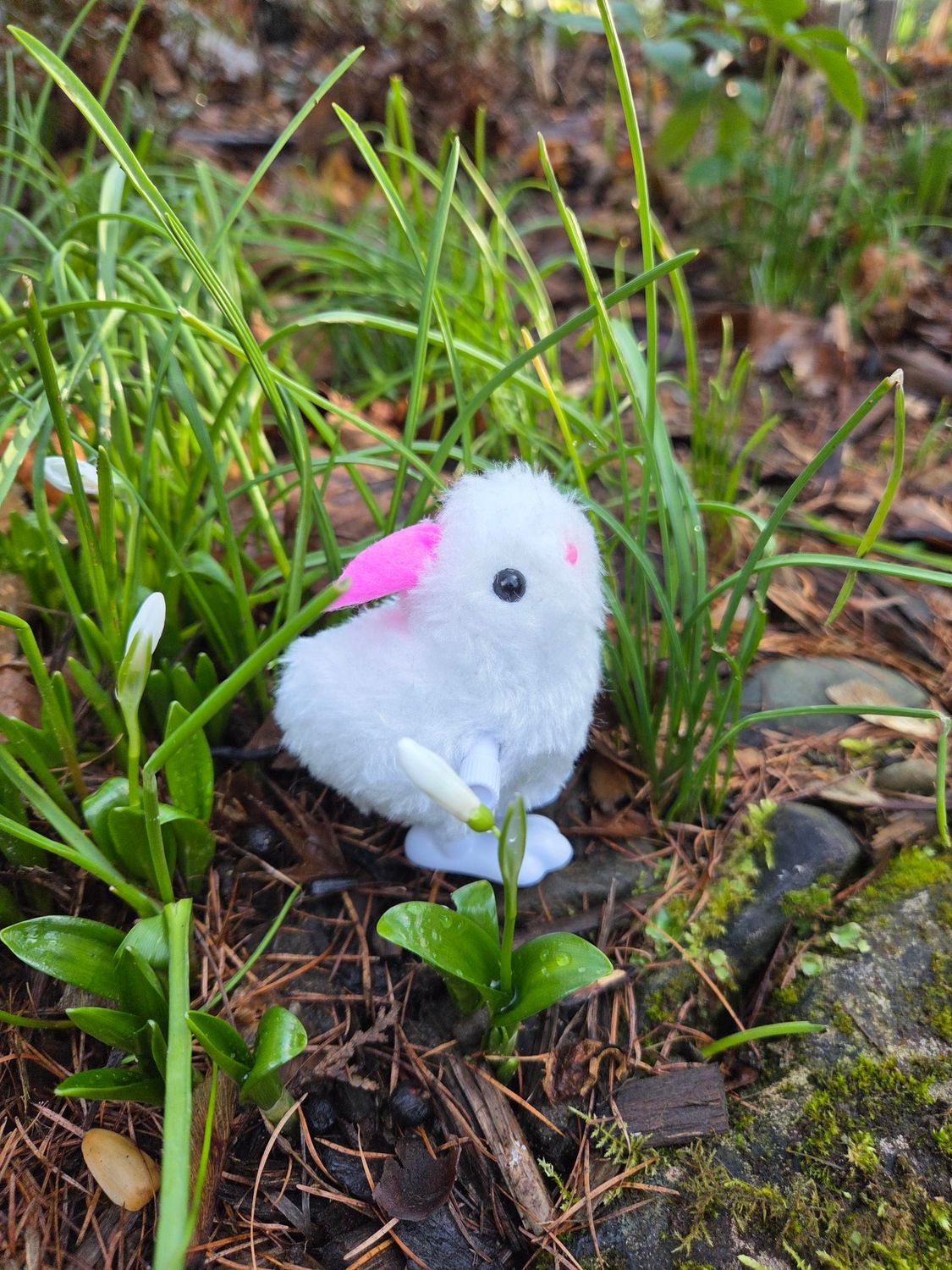 KONIJNTJE - OPWINDBAAR - LENTE - ZOMER - PASEN