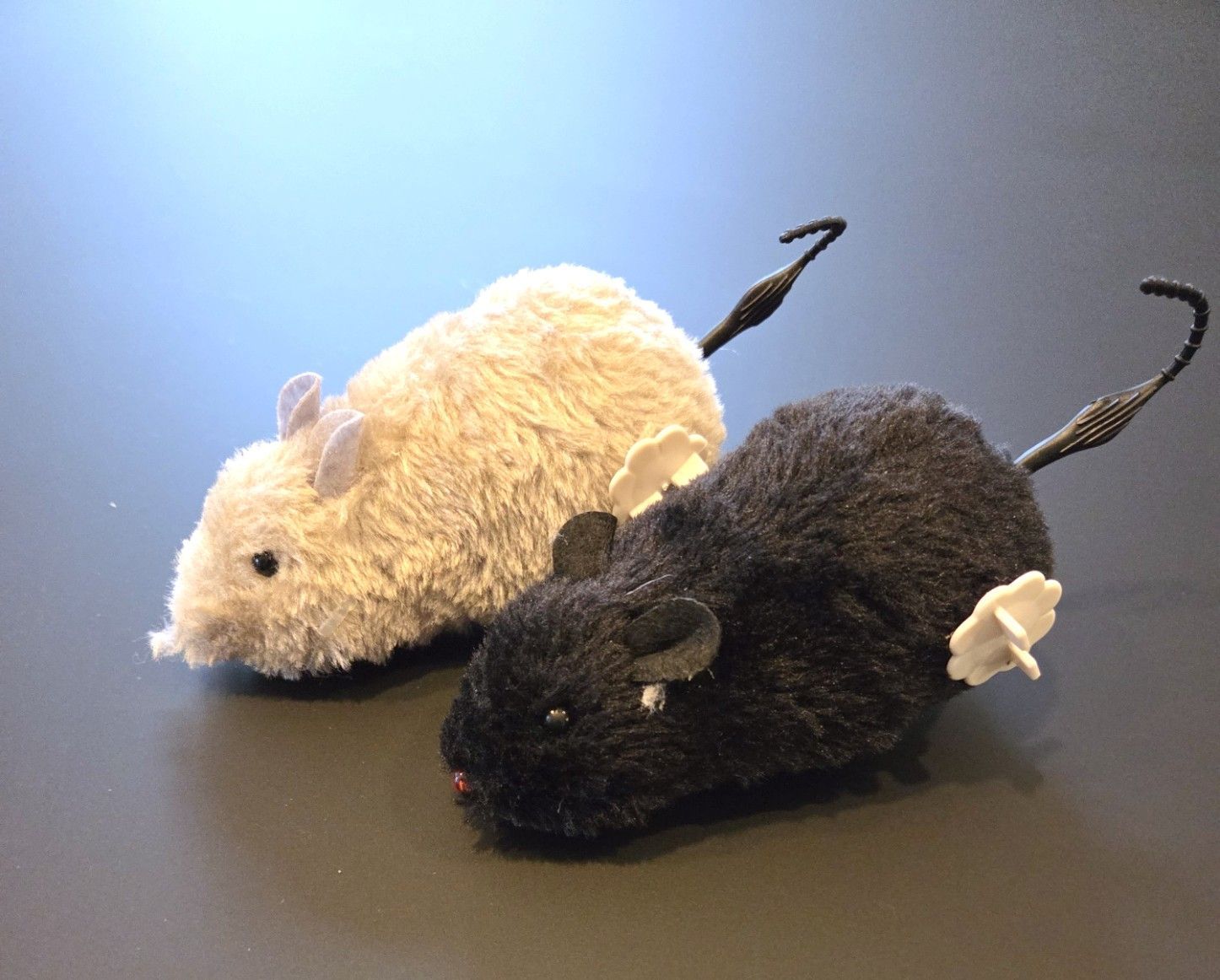 MUIS - OPWINDBAAR - ZWART