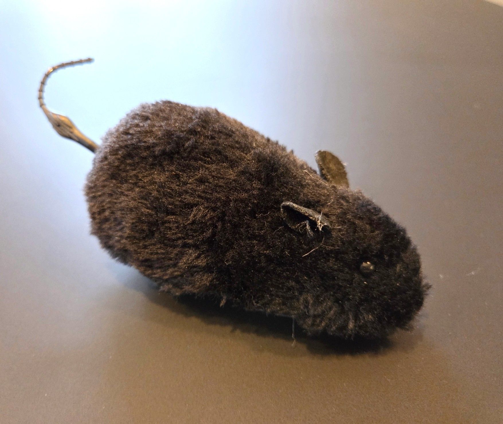 MUIS - OPWINDBAAR - ZWART