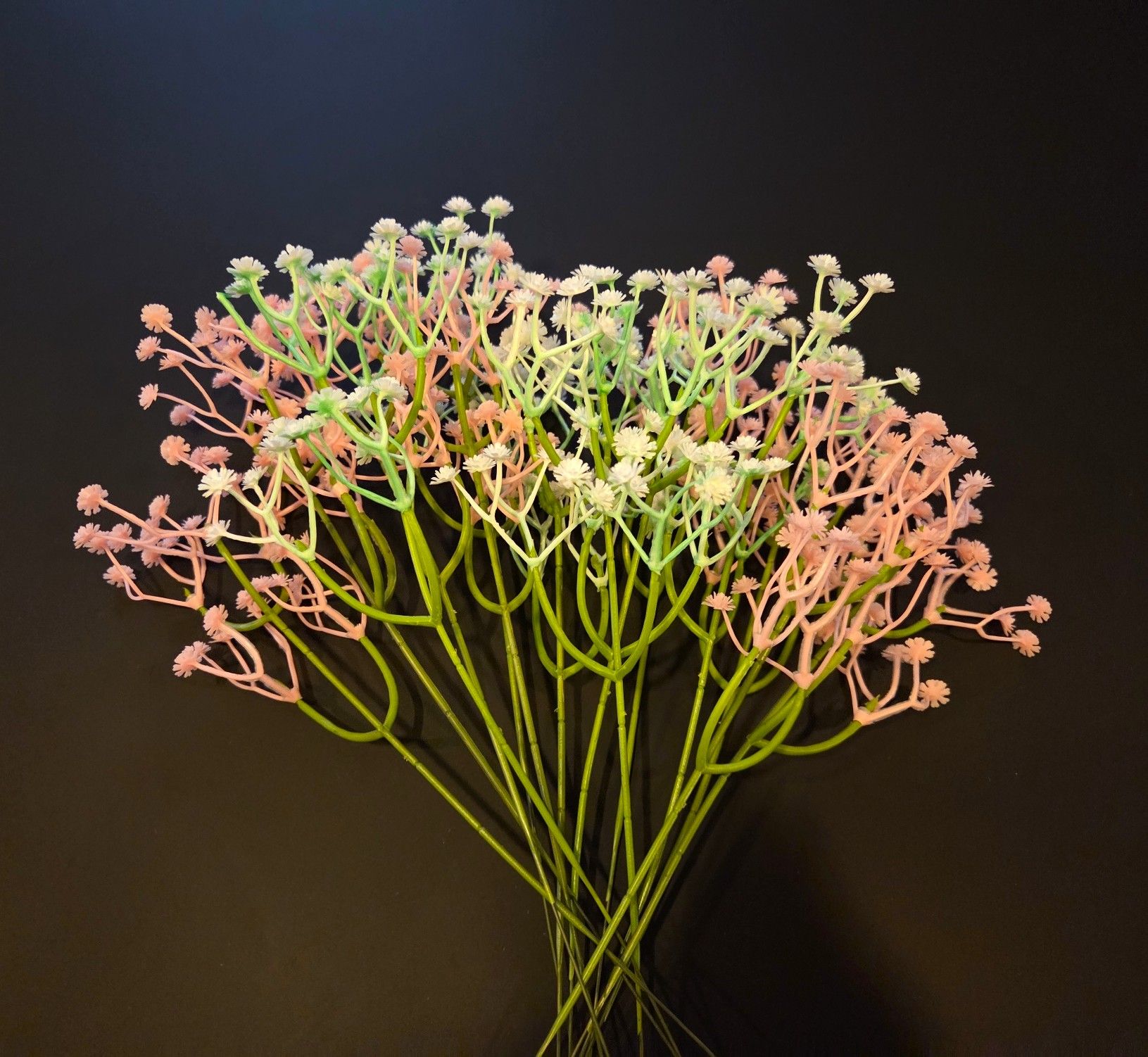 GIPSKRUID - KUNST - ROZE