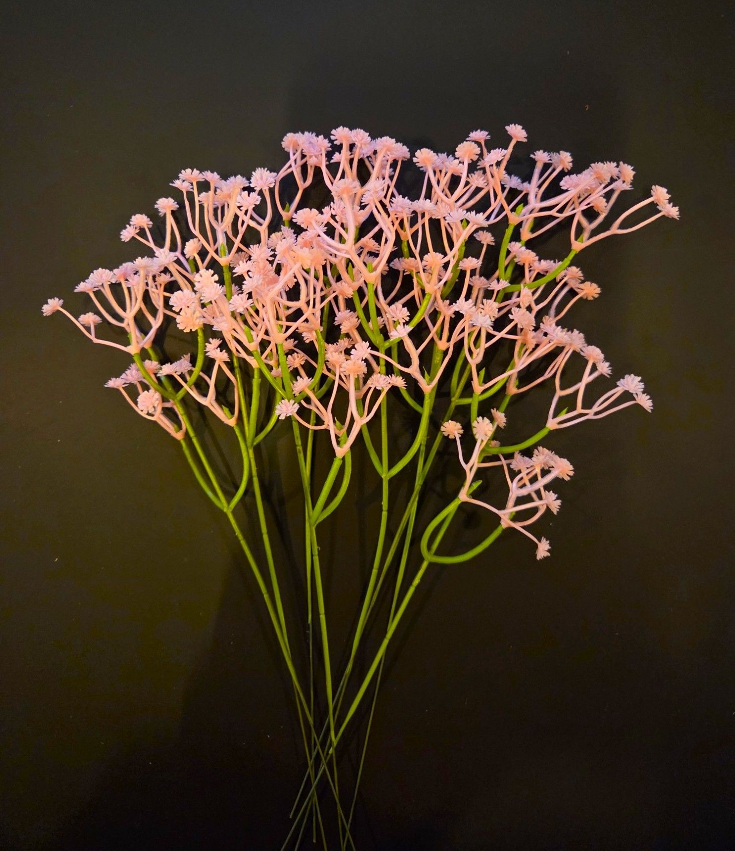 GIPSKRUID - KUNST - ROZE