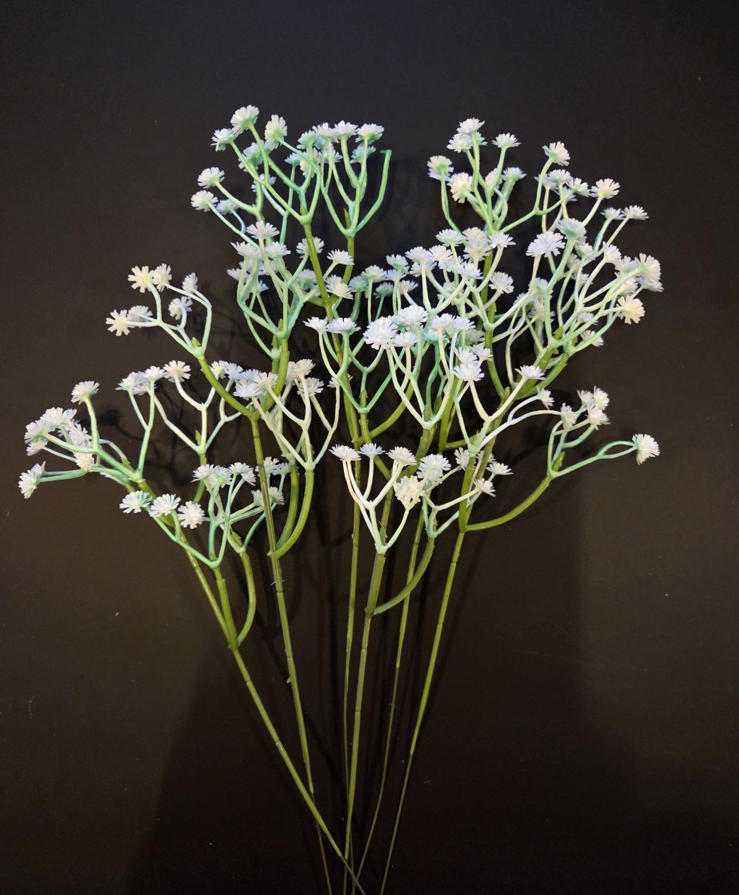 GIPSKRUID - KUNST - WIT