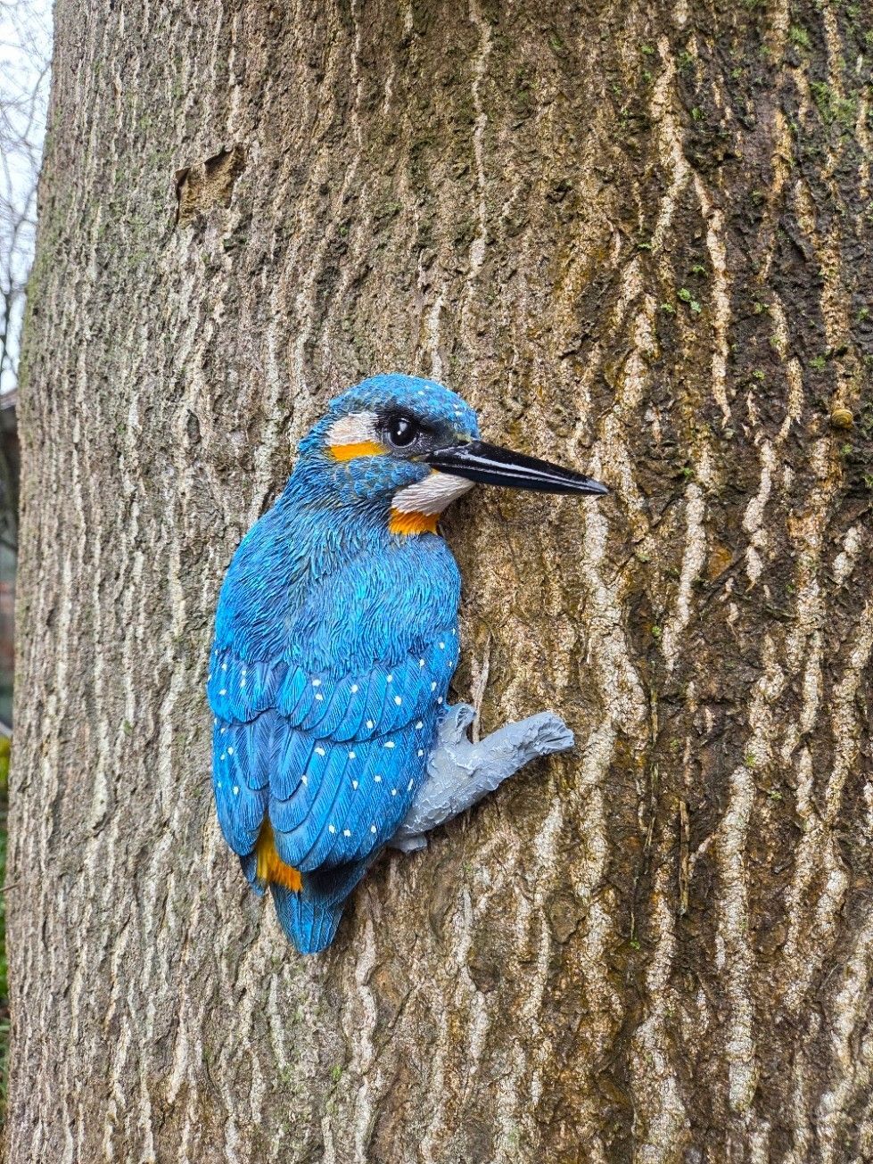 IJSVOGEL - THE BEAUTY