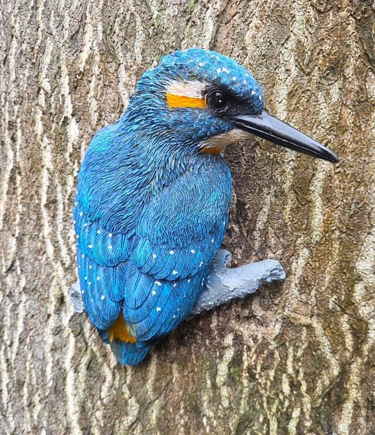 IJSVOGEL - THE BEAUTY