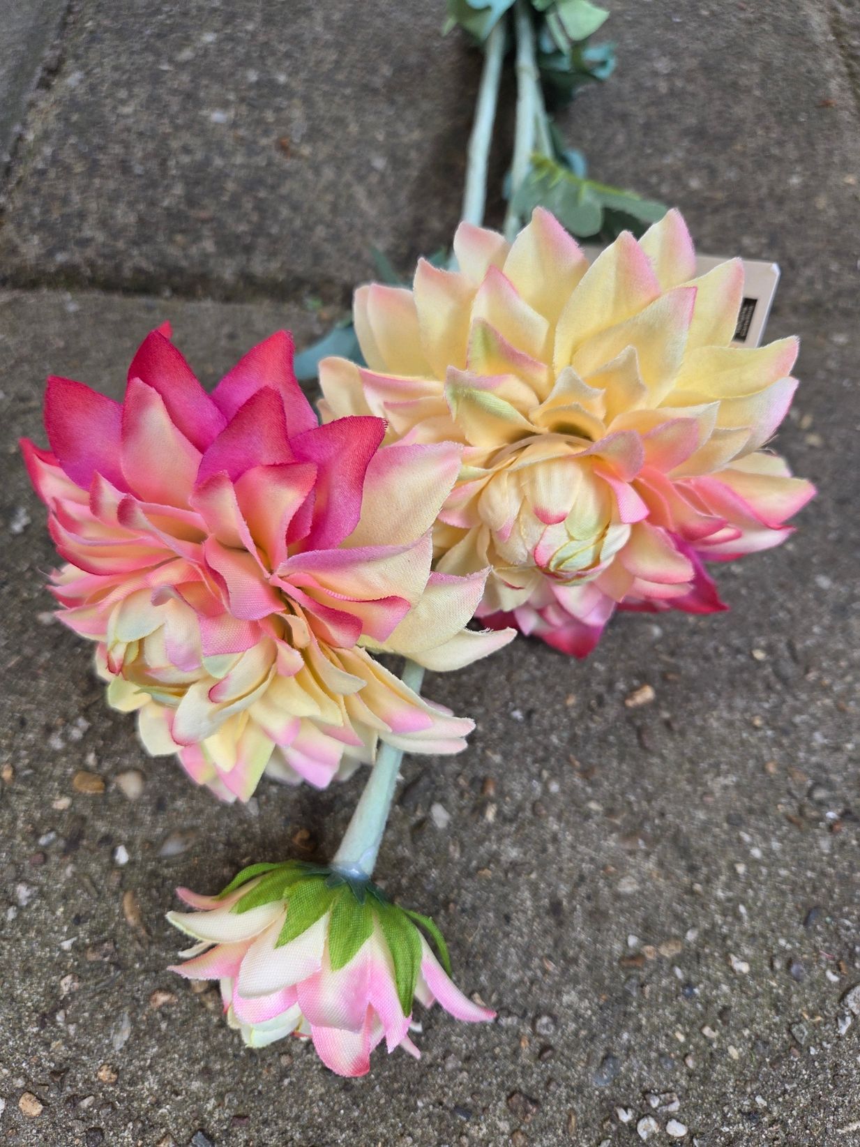 DAHLIA KUNST CLAYRE & EEF - ROZE GEEL TINTEN