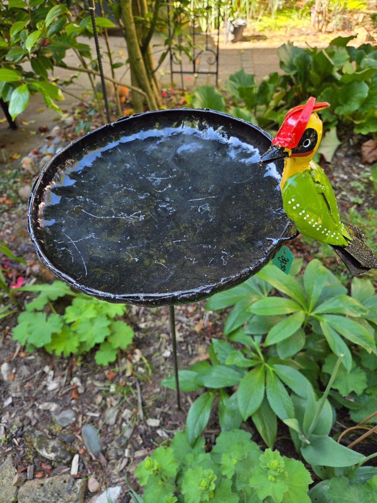 GROENE SPECHT OP VOER WATERSCHAAL - FAIRTRADE - HANDGEMAAKT