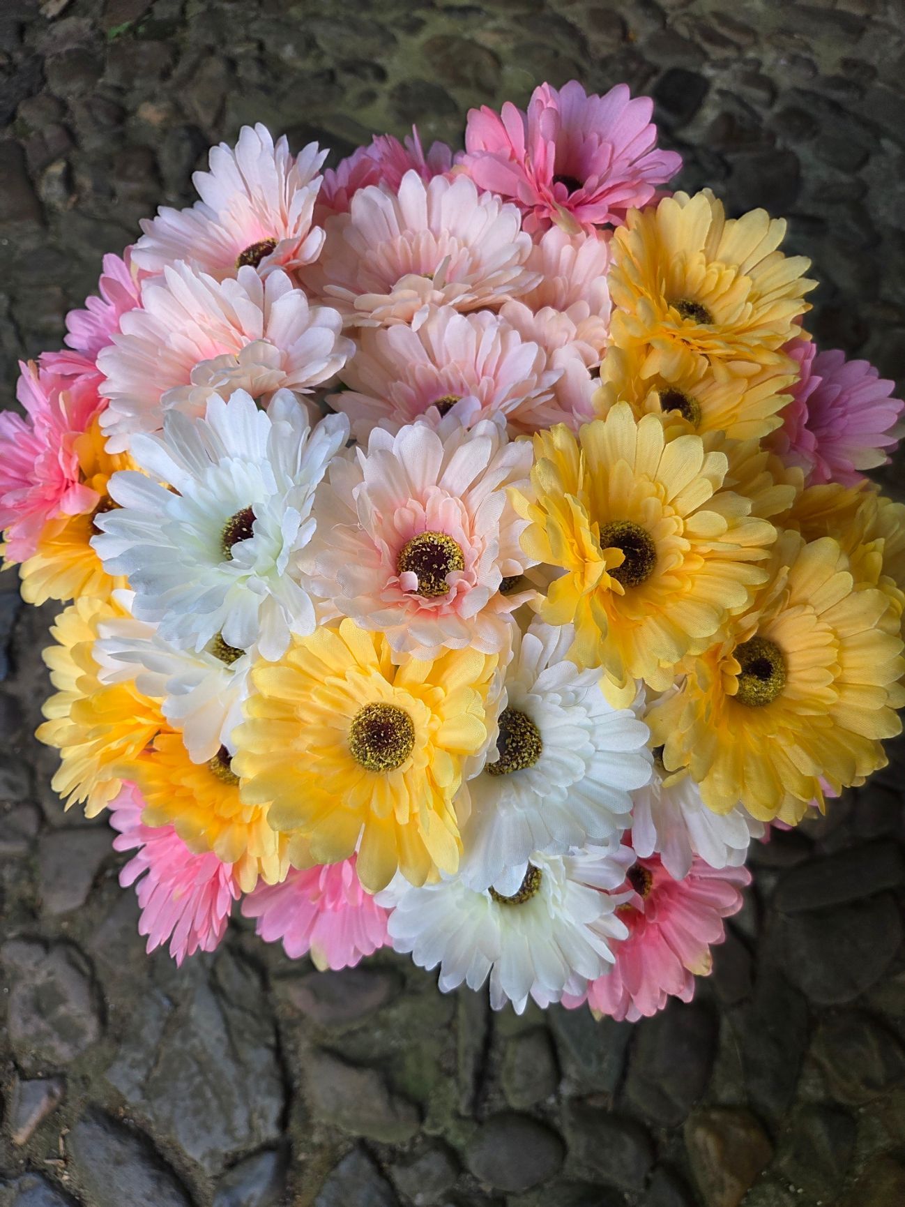 SUPERKOOPJE - GERBERA - WIT ROZE - 1 EURO