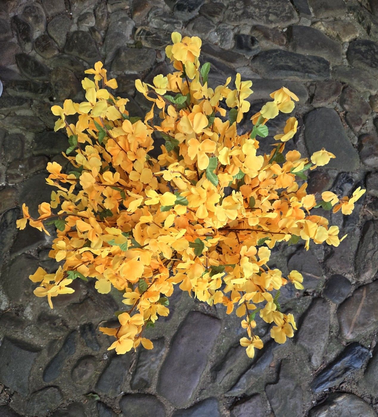 FORSYTHIA - KUNST TAK - KOOPJE 1 EURO