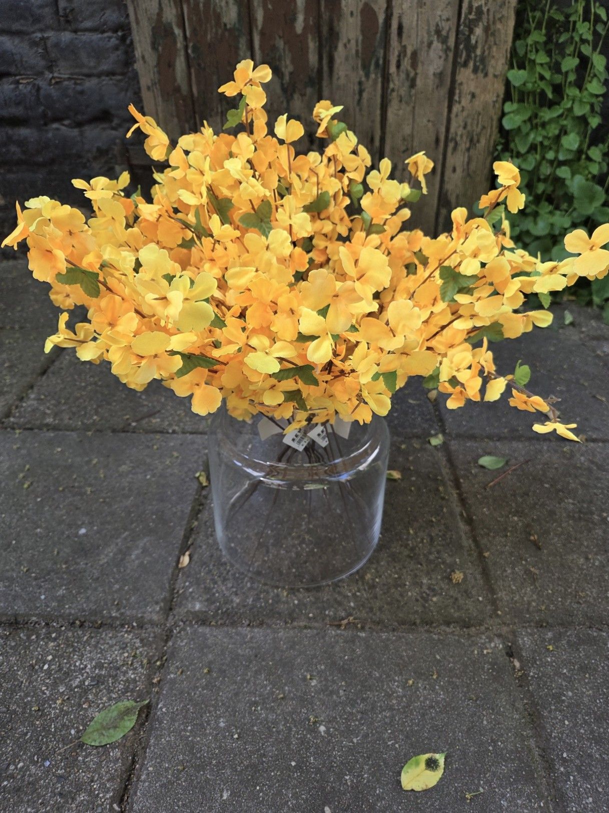 FORSYTHIA - KUNST TAK - KOOPJE 1 EURO