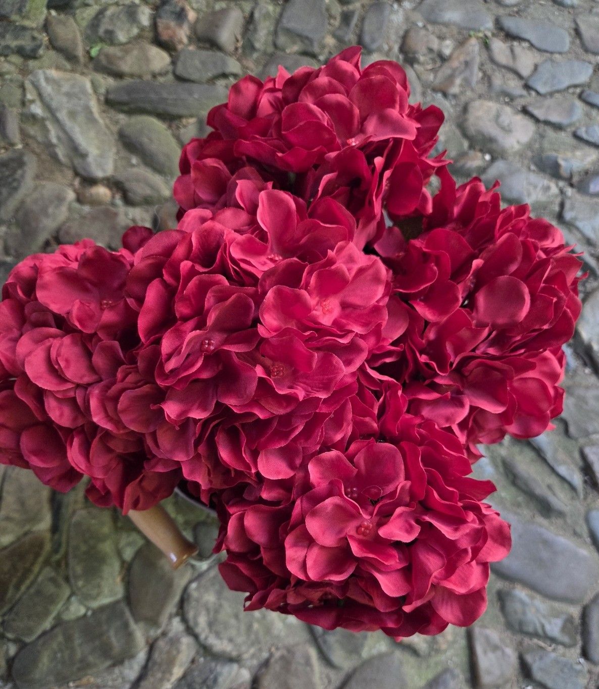 HORTENSIA - KUNSTTAK  (3)