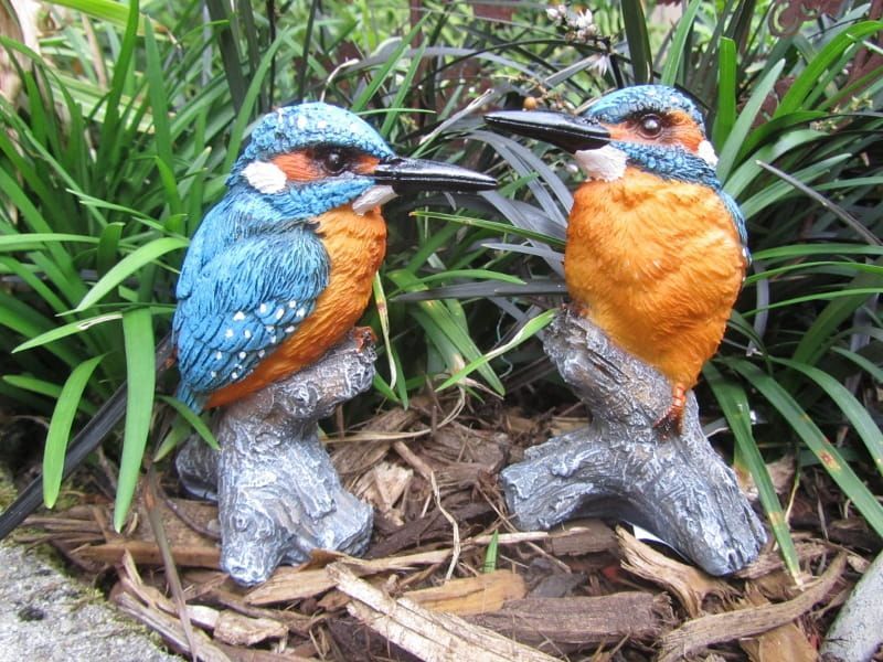 IJSVOGELTJE - THE BEAUTY - I