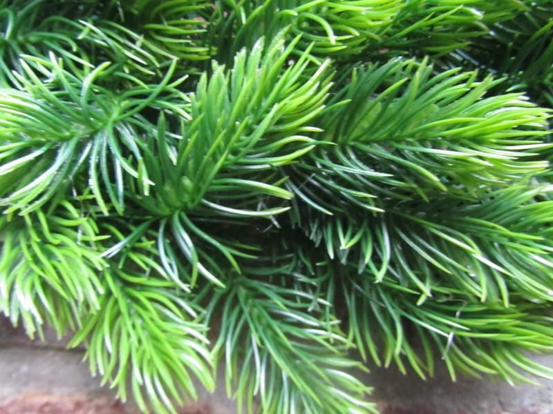 KRANS - KUNSTSTOF - DENNENTAKJES