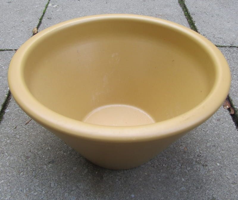 BLOEMEN PLANTEN  POT