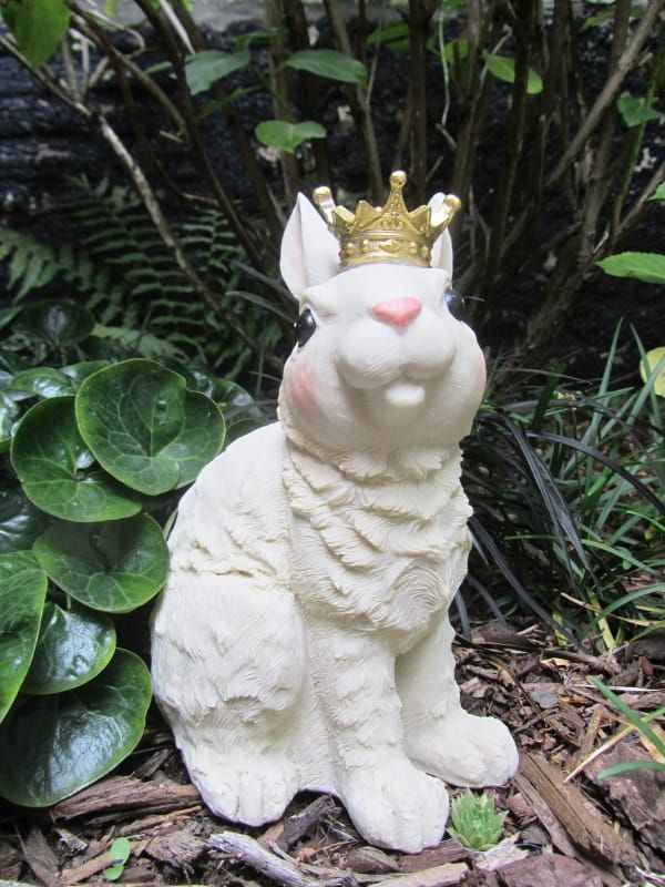 CLAYRE & EEF - KONINKLIJK KONIJNTJE