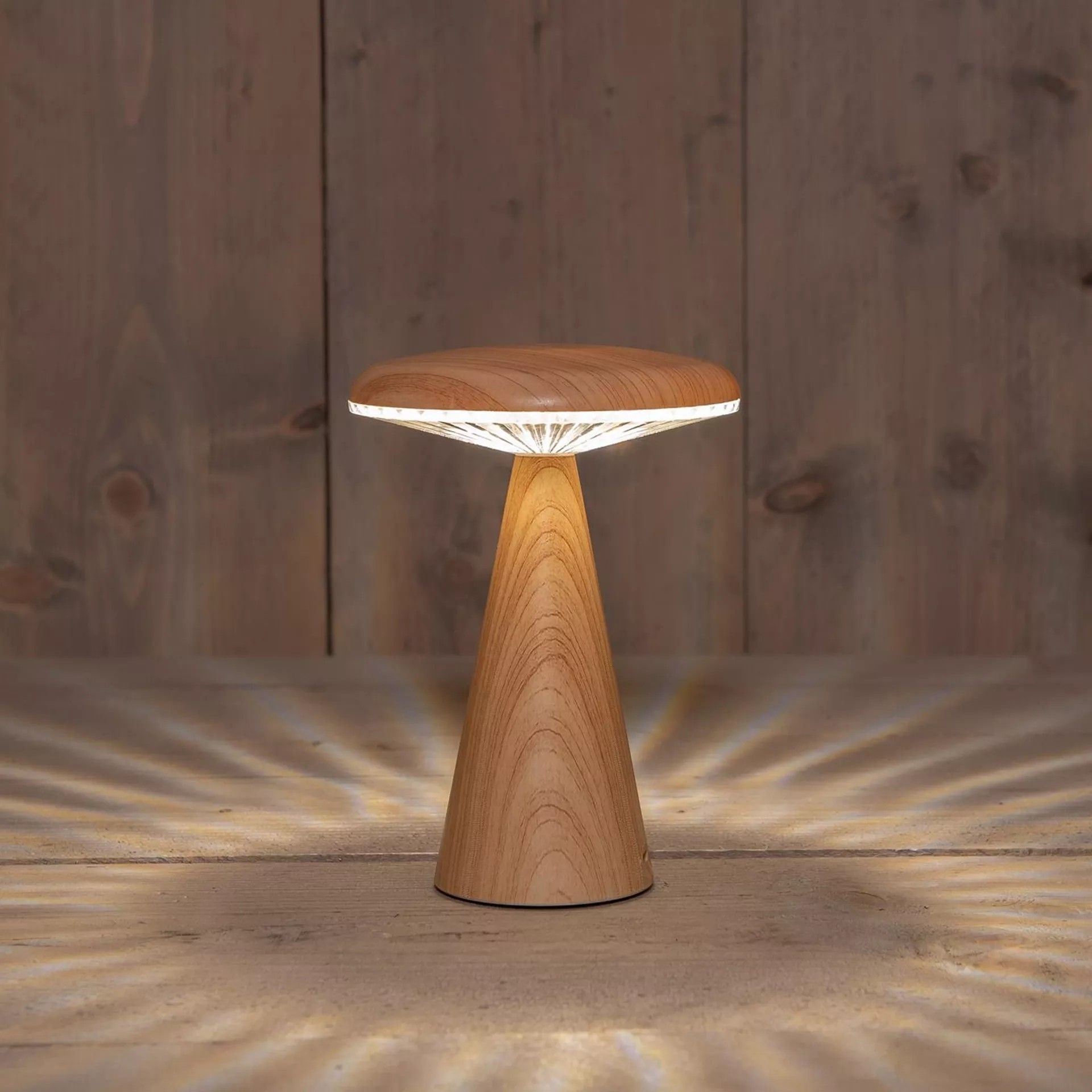 PADDENSTOEL MET LED LAMPJE