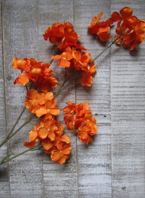 OPRUIMING - HORTENSIA TAK - TOP ART - VAN 9 EURO NU 5 EURO (1)