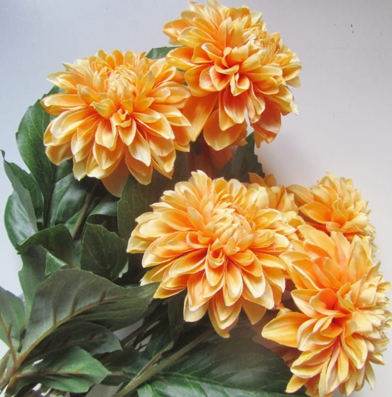 OPRUIMING - DAHLIA - KUNST - PERZIK - VAN 4,50 NU 2,50