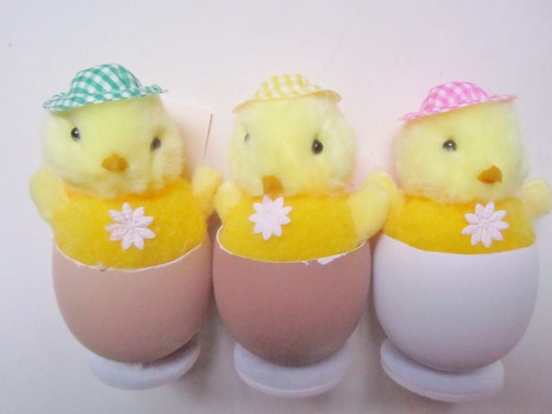 GRAPPIGE KUIKENS IN EITJE