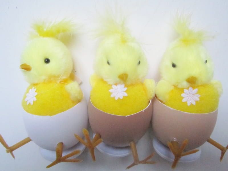 GRAPPIGE KUIKENS IN EITJE (1)