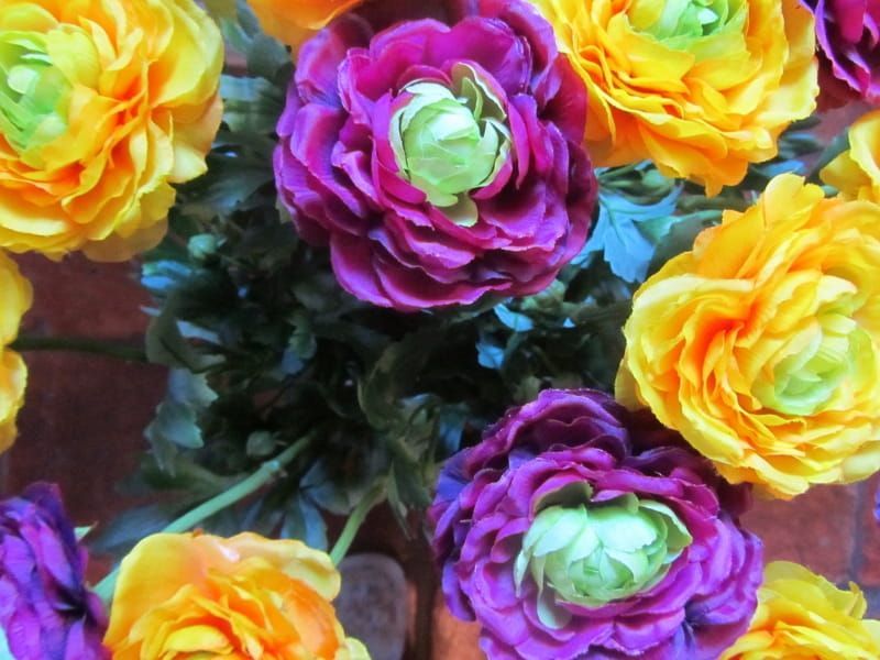 PIOENROOS - KUNST - GEEL