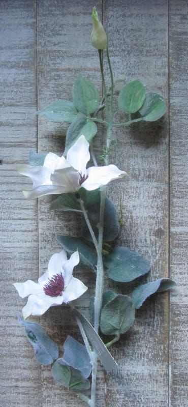 CLEMATIS - KUNST - WIT