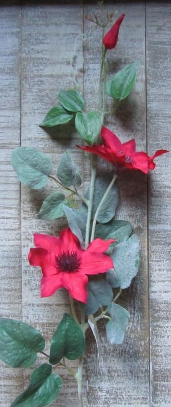 CLEMATIS - KUNST - ROOD