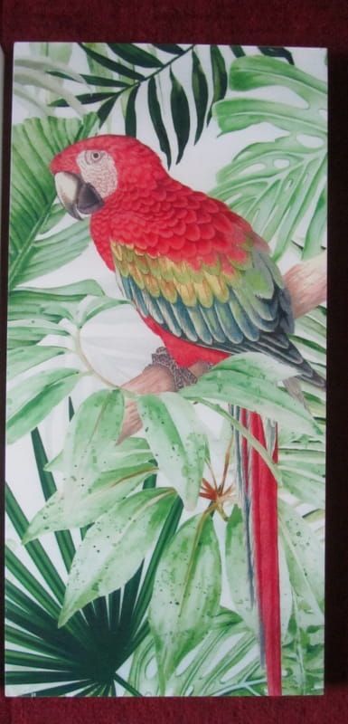 PRACHTIG 3 LUIK - JUNGLE MET PAPEGAAIEN