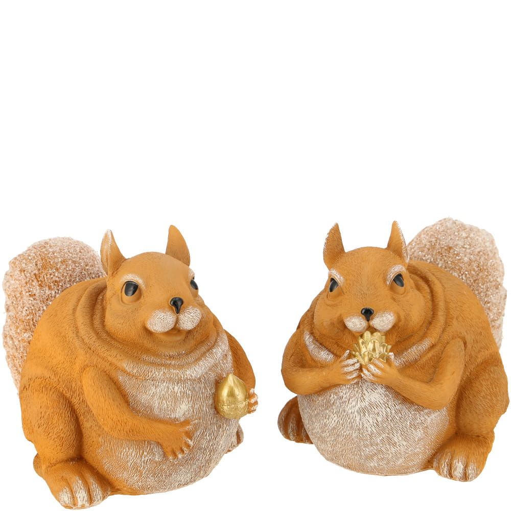 GRAPPIGE DIKKE EEKHOORN