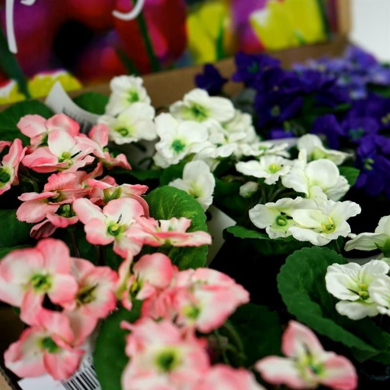 VIOOLTJES - KUNST - POTJE - LILA