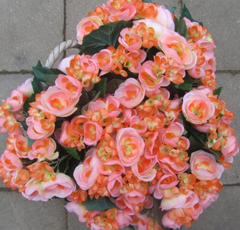 OPRUIMING BEGONIA KUNST - ZALM - 6 EURO NU 3,50