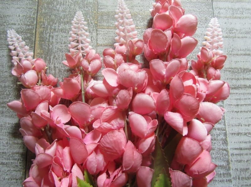 OPRUIMING -LUPINE - KUNST - VAN 4,50 NU 2,50