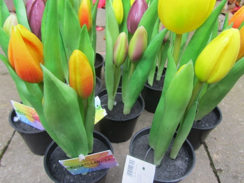 REAL TOUCH - TULP IN POTJE - ORANJE