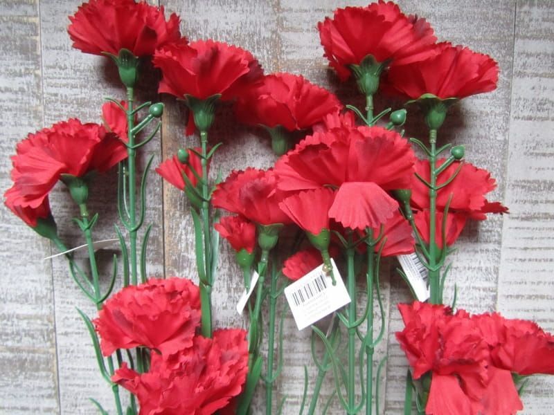 ANJER - KUNST - ROOD