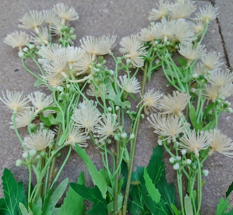 BLOEMEN KUNST TAKKEN