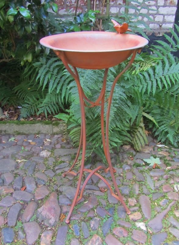 VOGEL BAD - WATERSCHAAL - CLAYRE & EEF