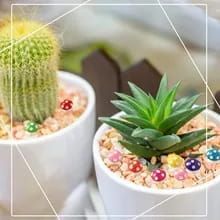 MINI PADDENSTOELTJES - 20 STUKS 3,50