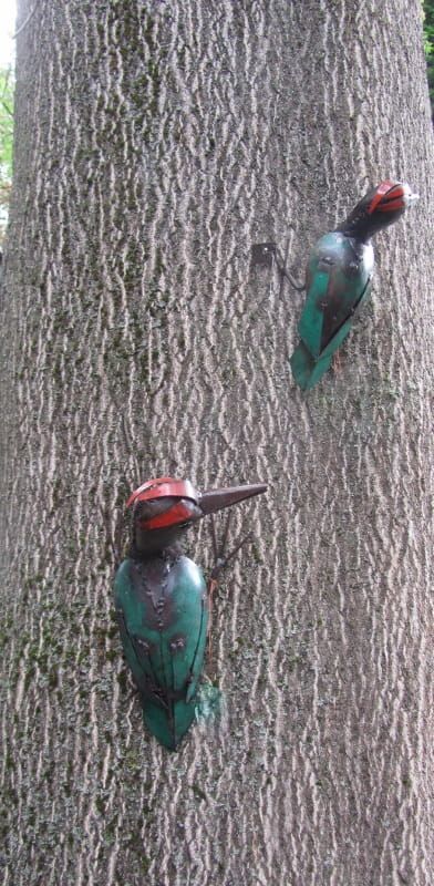 GROENE SPECHT - IJZER - STREET ART