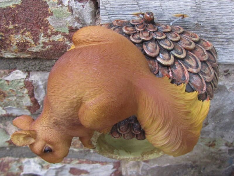 EEKHOORNTJE OP VOGELVOEDER WANDDECORATIE
