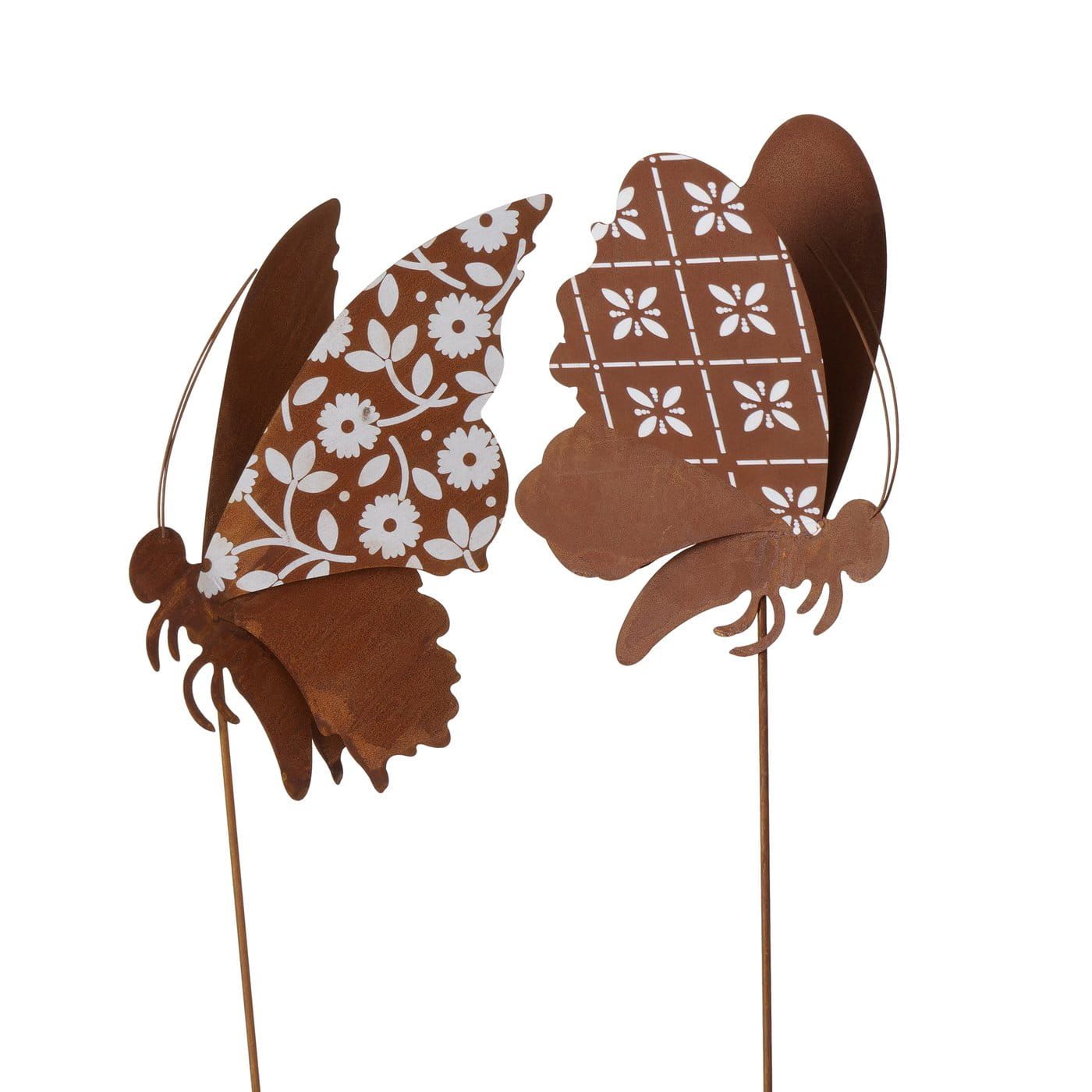 BOLTZE - VLINDERS OP TUINSTEKER (1)