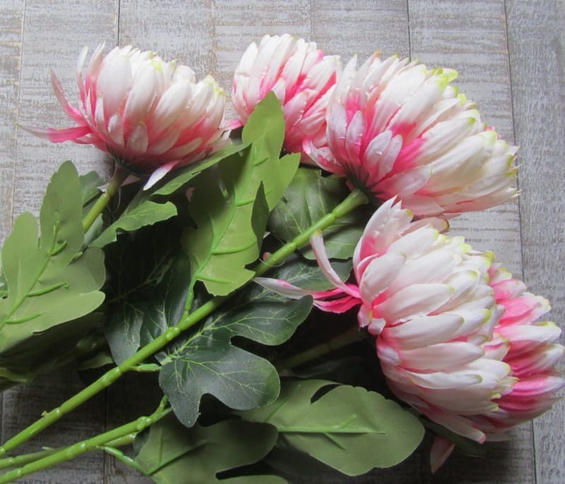 OPRUIMING - PRACHTIGE TWEE KLEURIGE CHRYSANT - VAN 2,50 NU VOOR 1,50