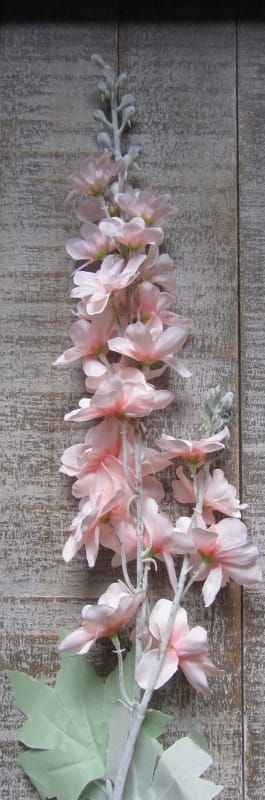 RIDDERSPOOR (DELFHINIUM) ROZE