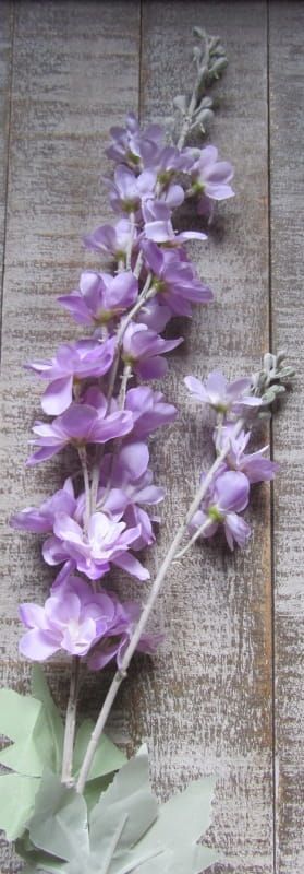 RIDDERSPOOR (DELFHINIUM) LILA