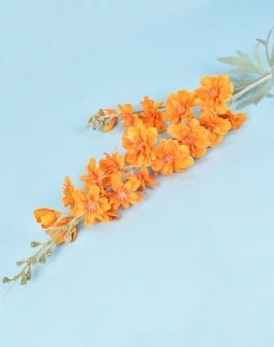 RIDDERSPOOR - DELPHINIUM - TAK - ORANJE