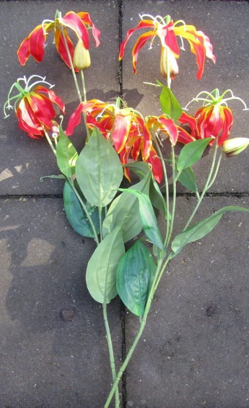 VLAM LELIE - KUNST - ROOD GEEL