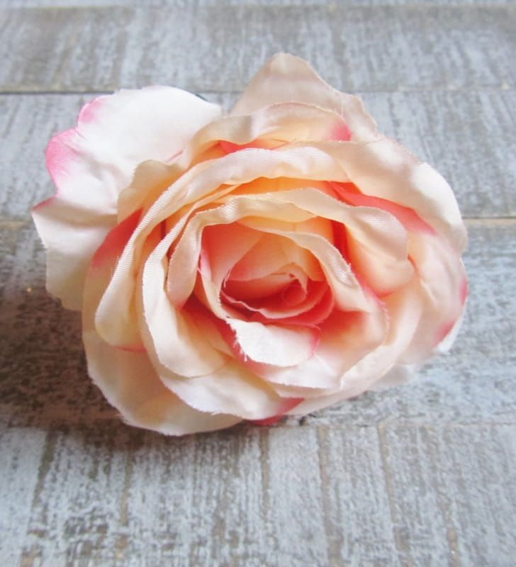 BLOEM KOP - KUNST - ROOS  ZALM KLEUR