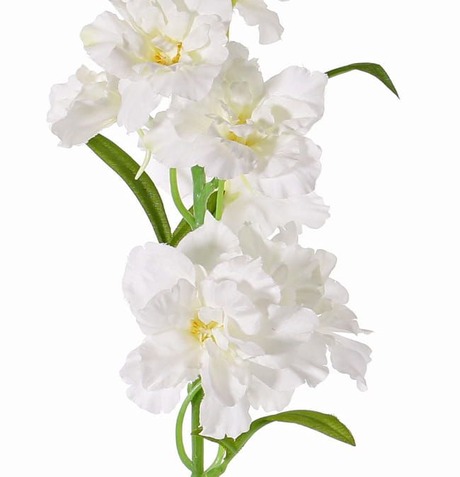 RIDDERSPOOR (DELFHINIUM) KUNST -TOP ART (1)